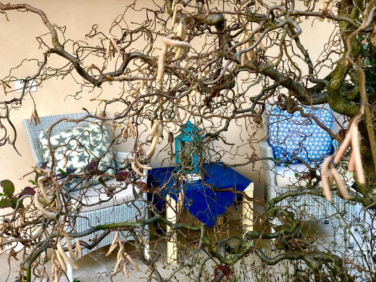 Boccadibacco Bed and Breakfast San Pietro in Cariano Εξωτερικό φωτογραφία